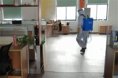 北京大興食品廠蟲(chóng)控消毒、除臭蟲(chóng)服務(wù)與保潔服務(wù)收費(fèi)標(biāo)準(zhǔn)解析